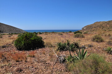 Playa de la Media Luna, Cabo de Gata, Almeria, Andalusia