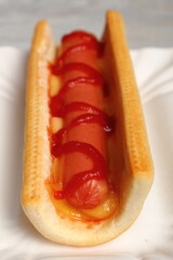 Hot Dog with Ketchup