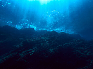 Fototapeta na wymiar Magic Underwater Landscape