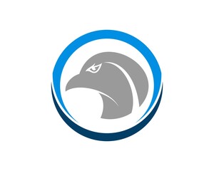 Eagle head inside the blue circle