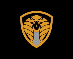 Obraz premium King cobra with golden shield
