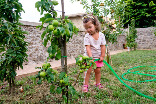 Little girl watering apple tree in the garden