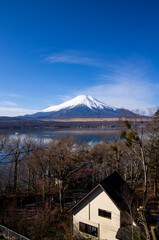Mount Fuji with snowcap with tree foreground, from Lake Yamanaka, Japan