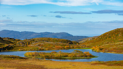 autumn landscape with lake
