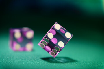 Casino purple dice