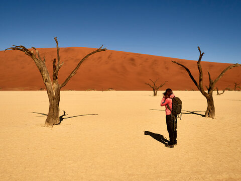 Woman taking a picture of one of the trees surrounded by dunes at Deadvlei, Namibia.
