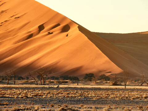 Sun hitting the sand of a dune, Sossusvlei, Namibia