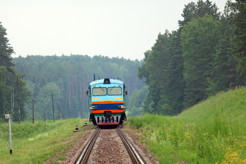 Fototapeta na wymiar train rides through the forest 