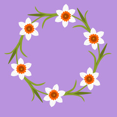 Daffodil circle frame. Narcissus flower ornament on purple background. Decoration element. Flat design. Botanical illustration.