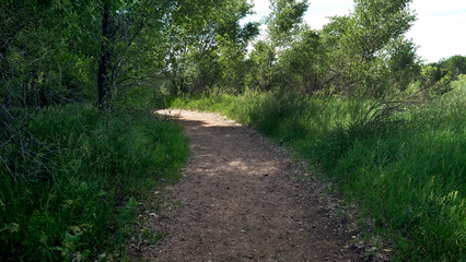 Hiking down a natural area path.