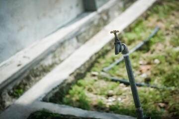 man watering a garden