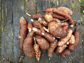 fresh yuca on wood board