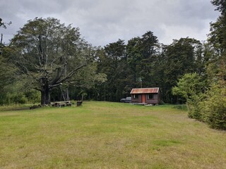 Cabin, Lichtung, Wald, Urlaub, Neuseeland