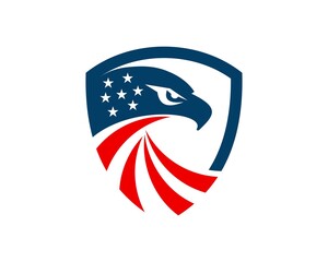 Protection shield with eagle head and star inside