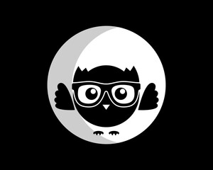 Geek owl with moonlight background