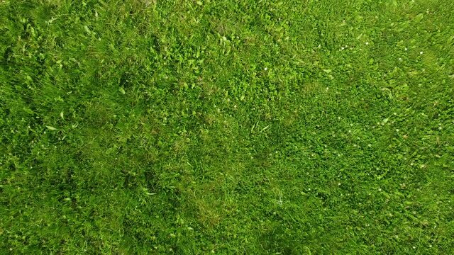  ascending drone shot in park