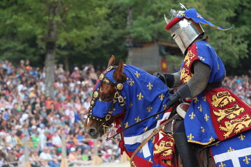 Medieval Festival: Knight With His Horse