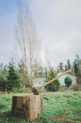 Axe in Stump