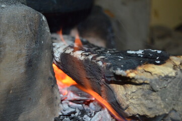Fire on a tree Branch for cooking 