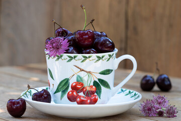 frische Süsskirschen in Tasse mit Kirschmotiv
