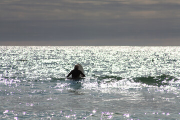 Surfer sitzt auf seinem Brett und wartet auf die perfekte Welle