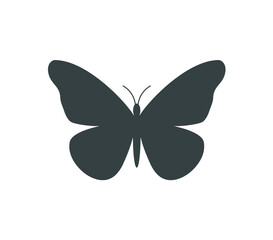 Butterfly icon. Butterfly vector illustration. 