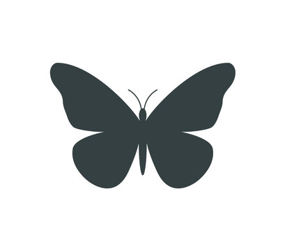 Butterfly icon. Butterfly vector illustration. 