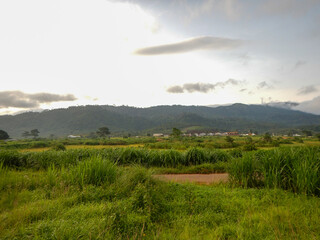 West Africa, Liberia, Yekepa, 9 of June 2015. Beautiful view on Yekepa town from the bush....