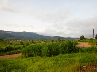 Obraz premium West Africa, Liberia, Yekepa, 9 of June 2015. Beautiful view on Yekepa town from the bush. Mountains are situated close to Guinea country border.