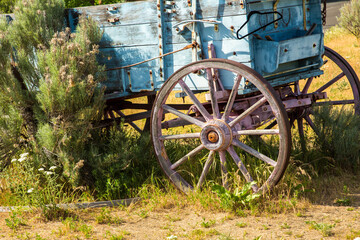 Fototapeta premium A vintage freight wagon with wooden spoked wheels and surrounded by sage brush near The Dalles, Oregon.
