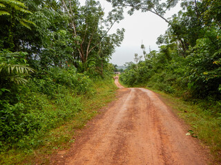 West Africa, Liberia, 6 of July 2015, Yekepa outskirts, 2015. Beautiful nature in the bush. Road...
