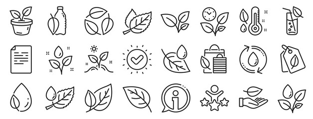 Mint leaf, Growing plants and Humidity thermometer icons. Plants line icons. Bottle with mint water, Nature care, leaf on hand. Gardening new flower, environment, water drop and thermometer. Vector