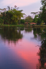 Fototapeta na wymiar Sunset on the lake in the park