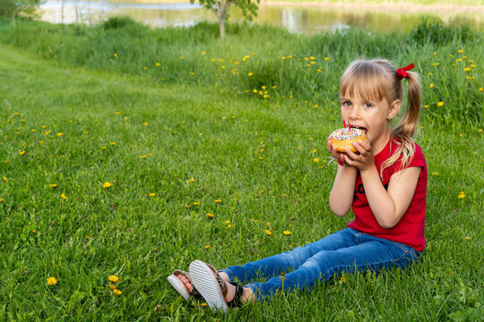 Happy Canda Day Celebrtation concept. Young cute female child with Canadian flag on doughnut in a park during summer.