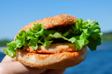 hamburger with cutlet with fresh lettuce leaves. on a blue background.