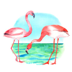 Orange flamingos clip art. South sea, blue sky background.  Isolated elements on white background.
 Stock illustration. Hand painted in watercolor.
