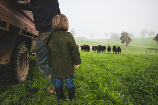 Girl with her father watching cattle on farm