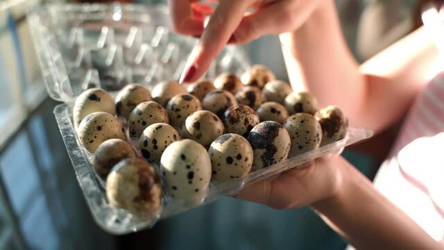 Female finger counting quail eggs in small plastic container, woman taking one white and brown egg and demonstrating it on camera. Production of natural healthy food on farm, uncooked eggs of quail
