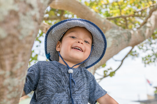 Cute 3 year old mixed race boy wearing a blue hat sitting in a tree