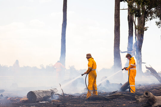firefighters using hoses to spray water onto burnt logs after a fire