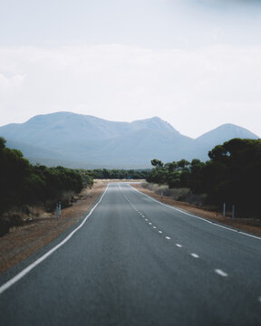 Road to the mountains