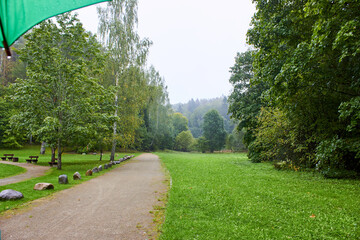 Path in the park on a rainy day