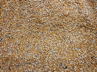 Pea grains in red plan in the container. Healthy food, vegetarianism