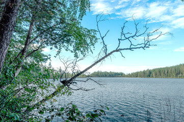 Northern nature.