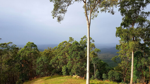 Early morning sunshine over the mountains