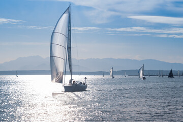Distant sailboats with silhouetted crew on deck, full sails. 