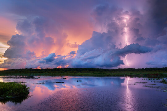 Lightning in sky during sunset over wetlands