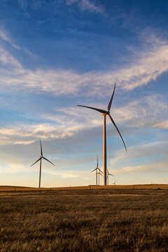 wind turbines in late afternoon light, vertical