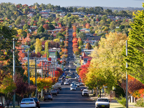 Roadway through country town lined with autumn trees