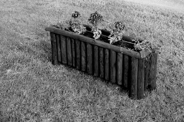 beautiful flower cases black and white